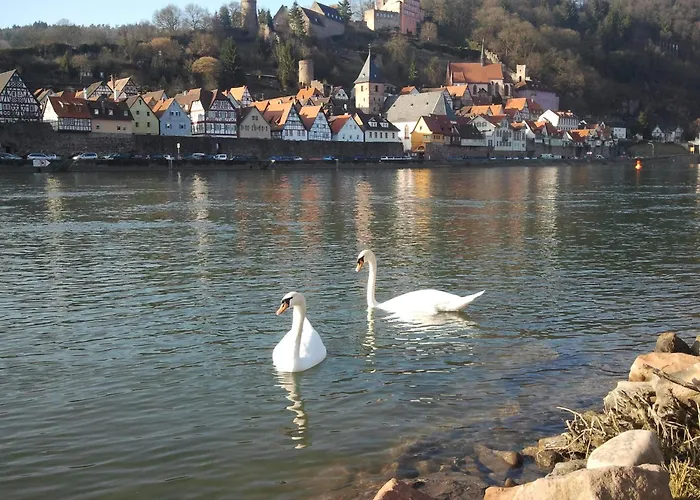 Romantisches Hirschhorn Am Neckar
