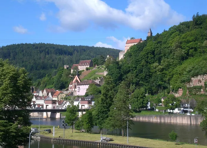 Romantisches Hirschhorn Am Neckar