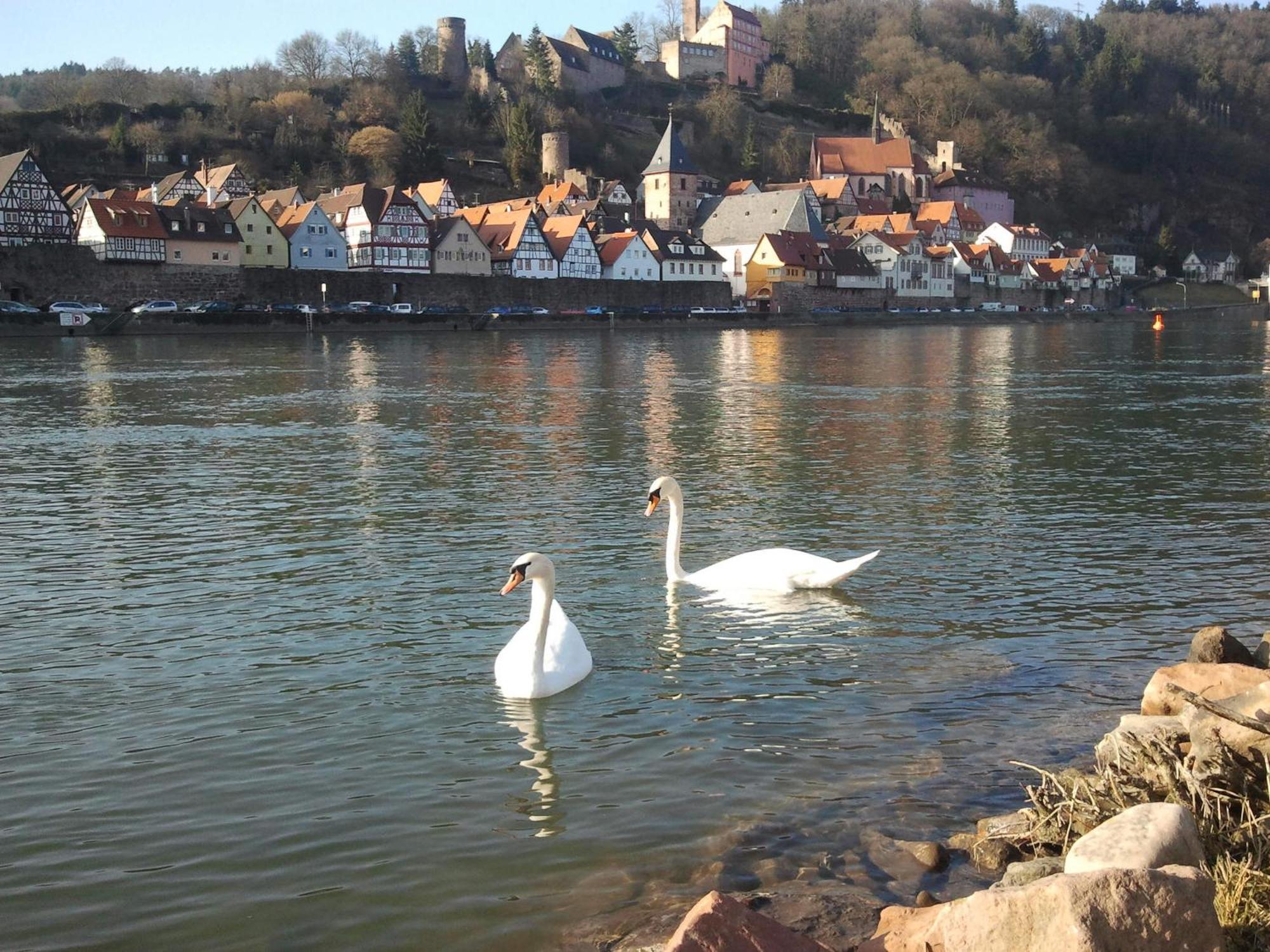 Apartment Romantisches Am Neckar
