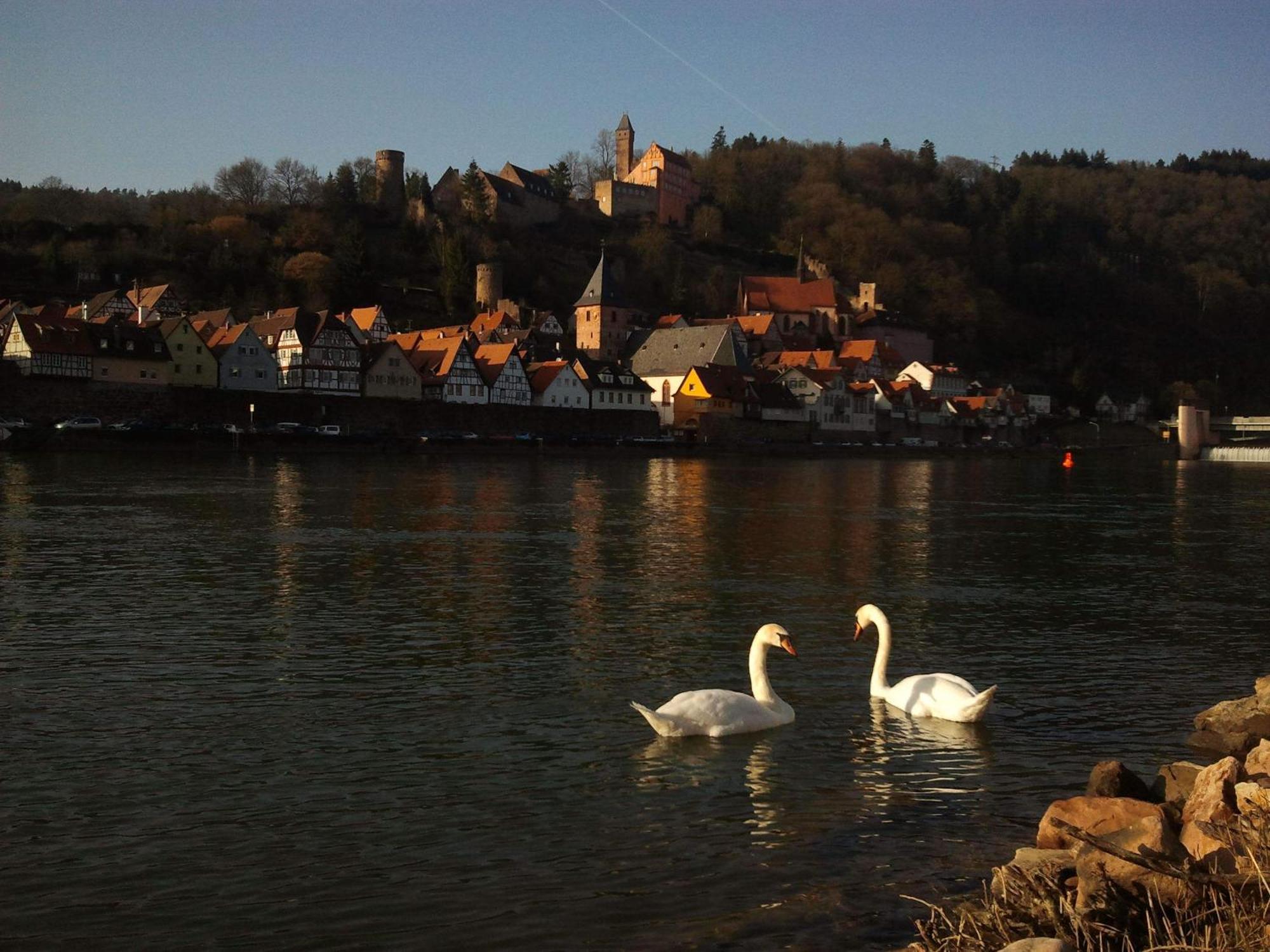Romantisches Am Neckar Apartment *