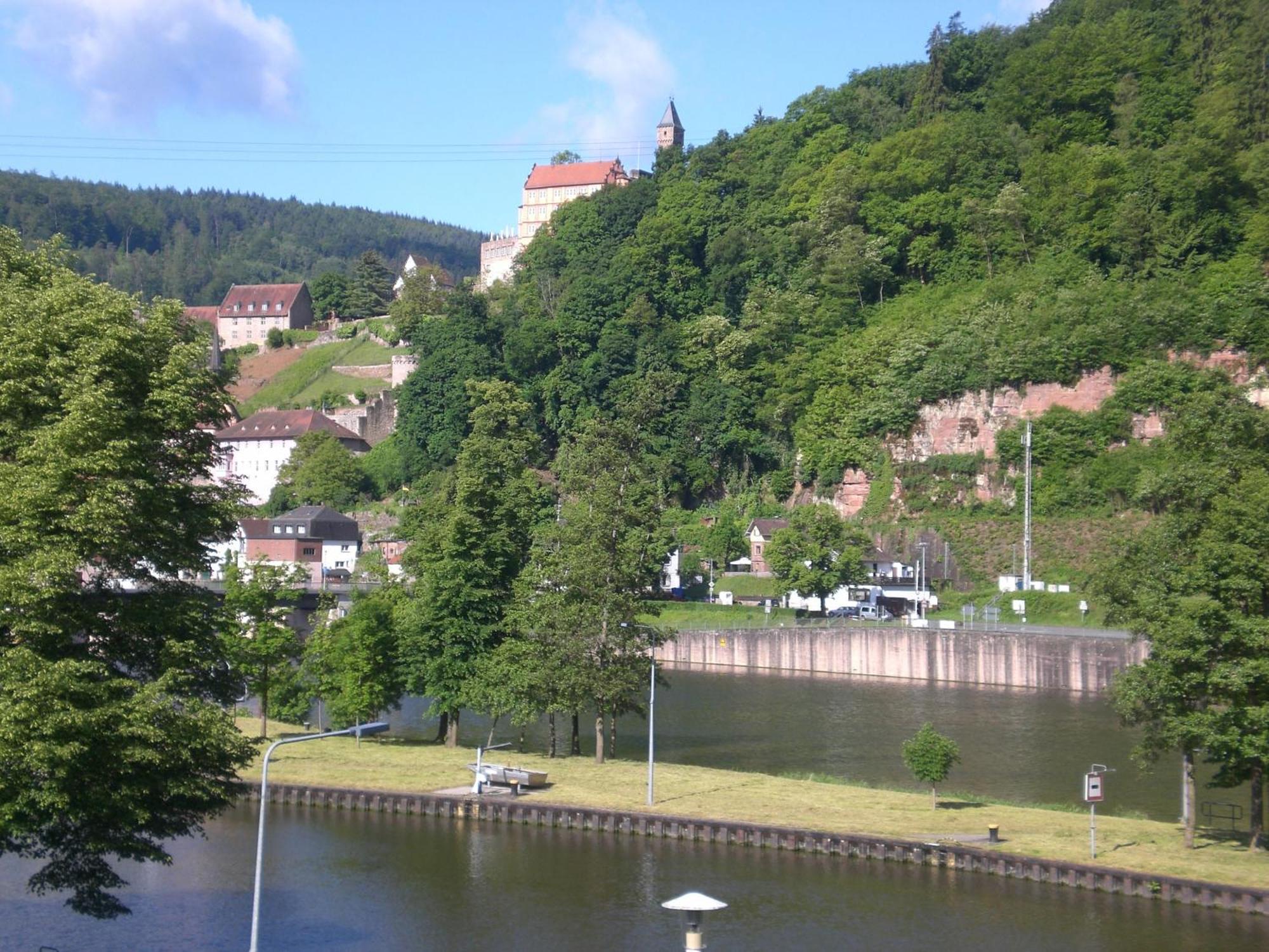 Romantisches Am Neckar * Hirschhorn