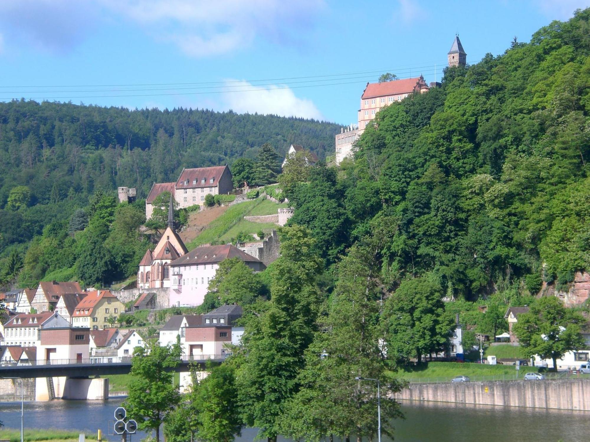 Romantisches Am Neckar Hirschhorn