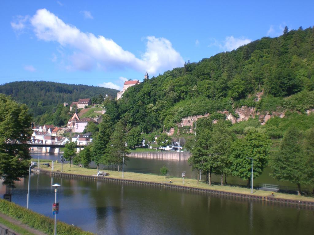 Romantisches Am Neckar