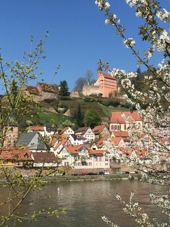 Romantisches Am Neckar Apartment *