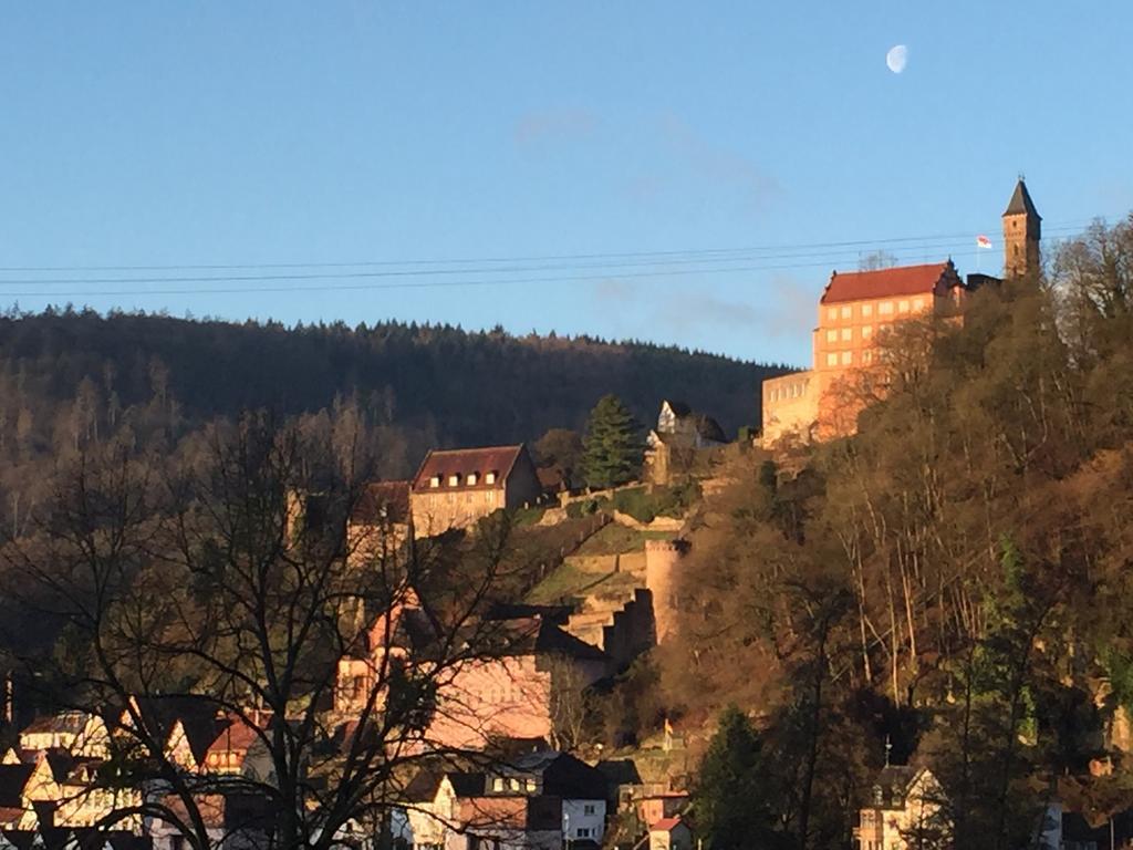 Romantisches Am Neckar Hirschhorn