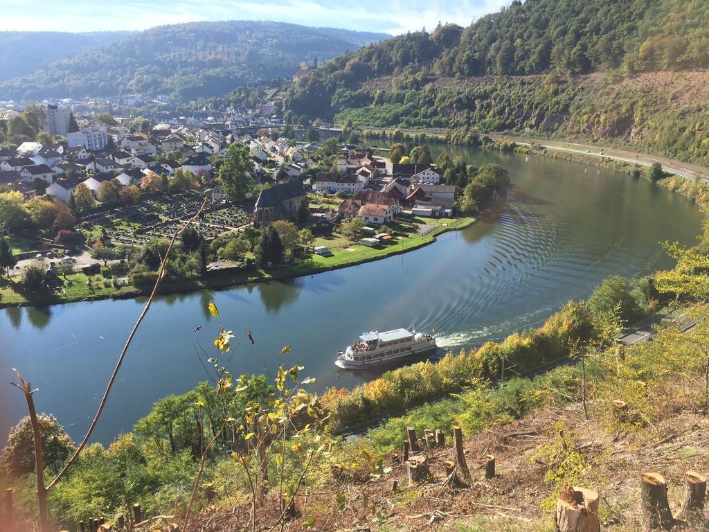 Romantisches Am Neckar Apartment