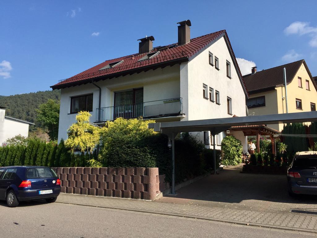 Apartment Romantisches Am Neckar Hirschhorn